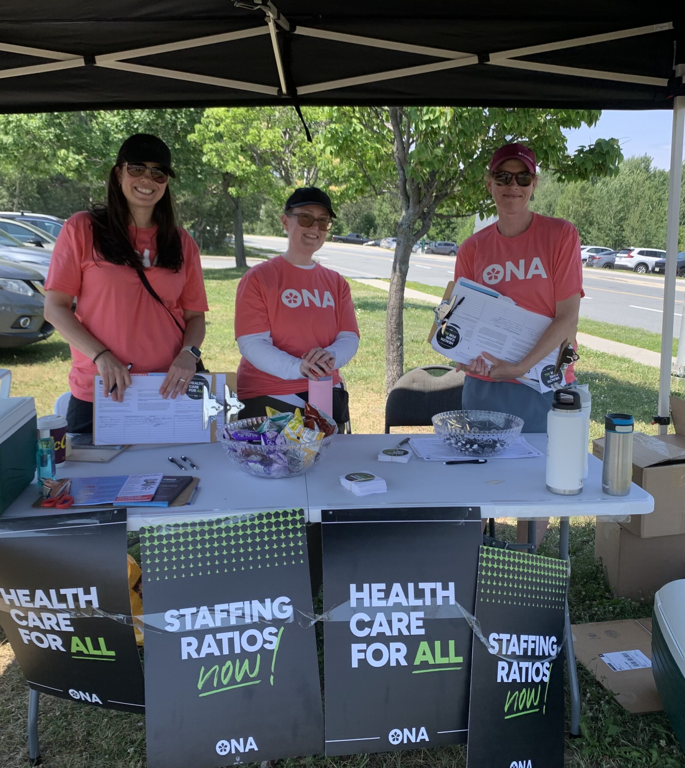 Political Action · ONA 239